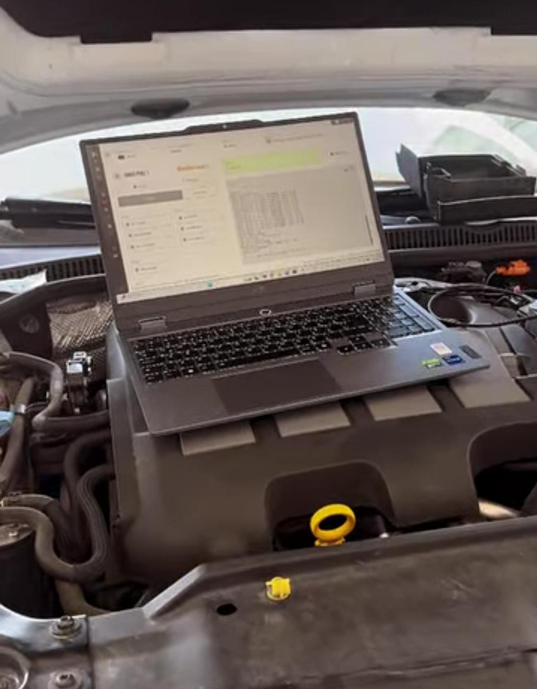 Remamp Ecu Beyin